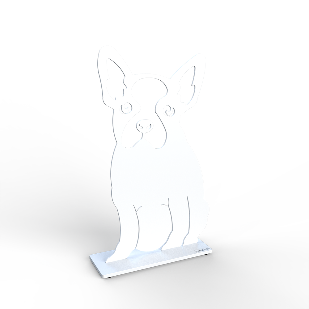 Hund Boston terrier
